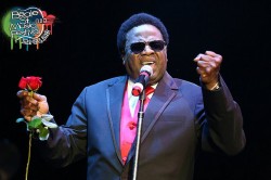 Al Green In Concert - Photo from Memphis In May website