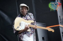 Buddy Guy In Concert - Photo from Memphis In May Website