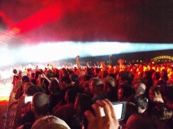 Memphis in May Beale Street Music Festival - The Night Crowd